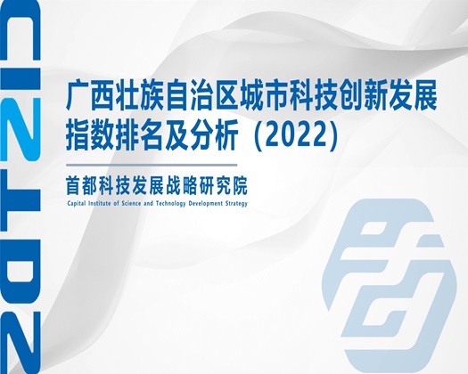 肏美女屄视频【成果发布】广西壮族自治区城市科技创新发展指数排名及分析（2022）